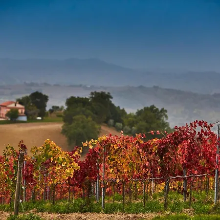 Officina Del Sole 度假村 Montegiorgio