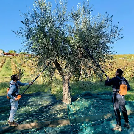 Officina Del Sole Resort Montegiorgio