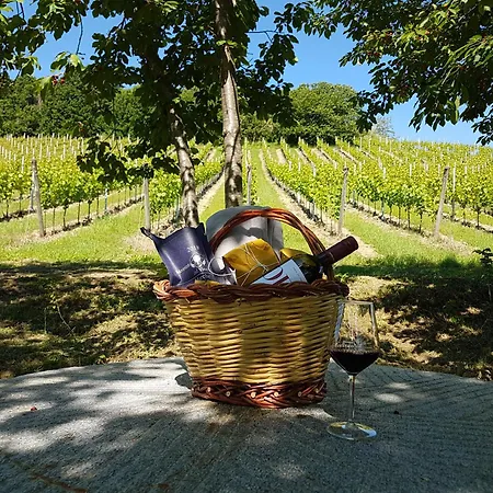 Officina Del Sole Montegiorgio